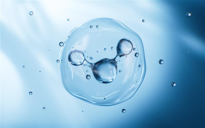 shutterstock_2464329215 (1)